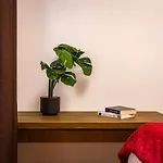 Vacation In Apartment