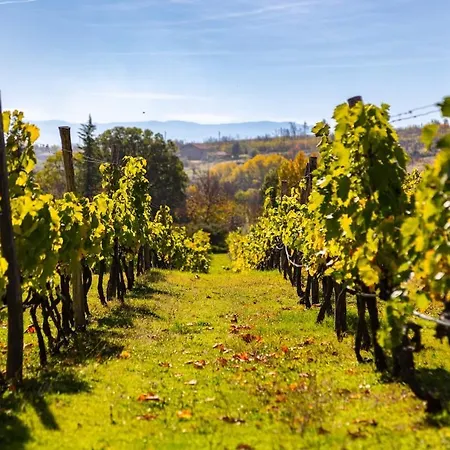 Vacation In Апартамент