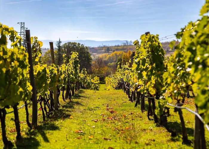 Vacation In Lejlighed